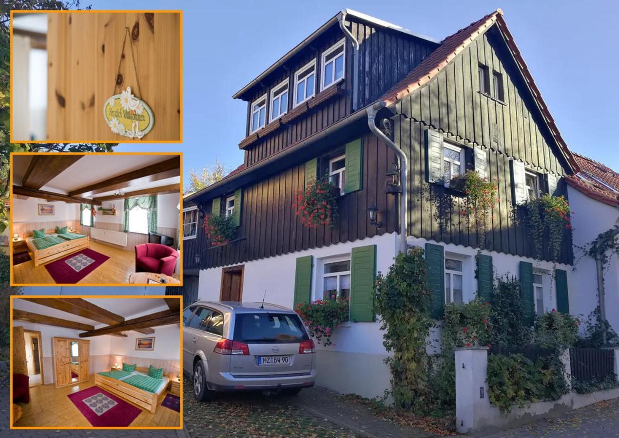 Ferienwohnung Zur Ellernmühle Bad Suderode Exterior foto